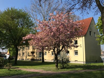 Gemütliche 3-Zimmer-Wohnung im Dachgeschoss